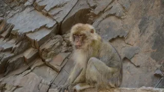 Na cestě po Alžíru