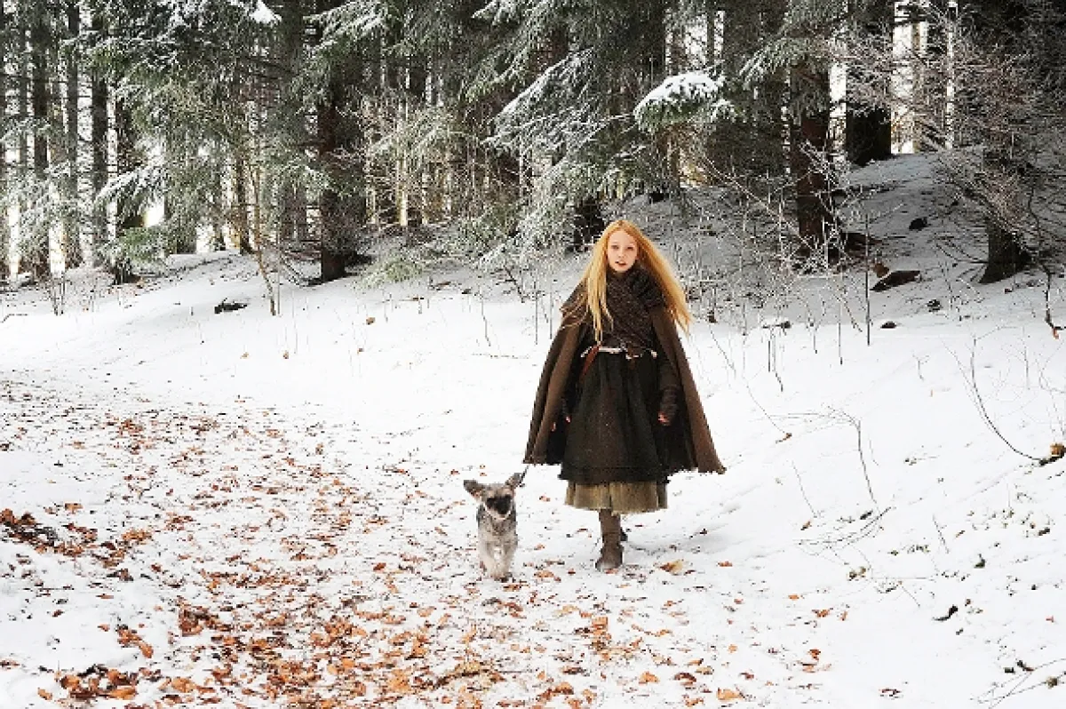 Hviezdne toliare (Die Sterntaler), 2011 - fotogaléria
