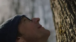 Dřevo pro Stradivariho
