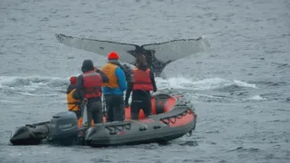 Patagonie - život na konci světa (6/6)