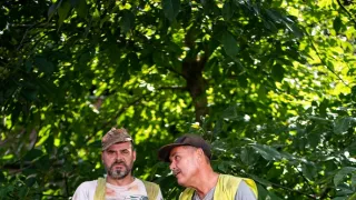 A mi kis falunk IX (15)