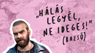 A mi kis falunk IX (15)