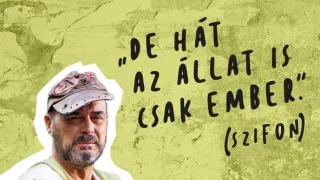 A mi kis falunk IX (15)