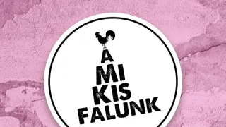 A mi kis falunk IX (15)