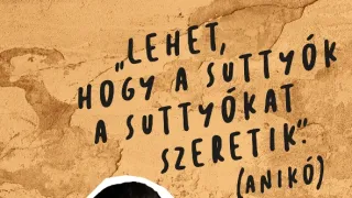 A mi kis falunk IX (15)