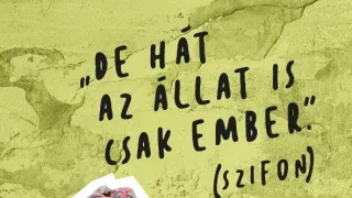 A mi kis falunk IX (15)