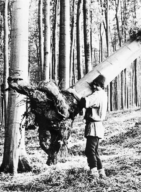 O statečném kováři (O STATEČNÉM KOVÁŘI), 1983 - fotogaléria
