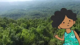 Velká kniha o zvířátkách