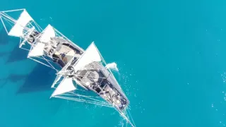 Magalhaesův divoký svět