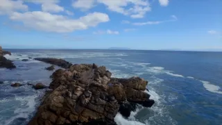 Magalhaesův divoký svět