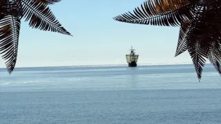 Magalhaesův divoký svět