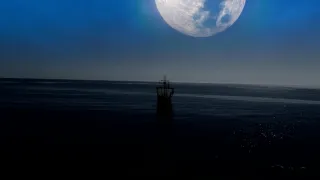 Magalhaesův divoký svět