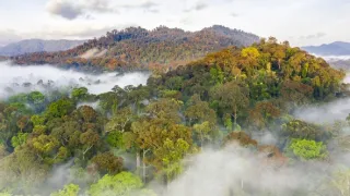 Zázračná planéta: Zelená planéta (1/5)