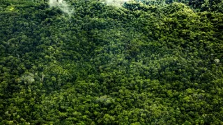 Zázračná planéta: Zelená planéta (1/5)