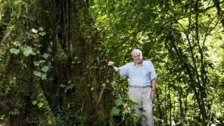 Zázračná planéta: Zelená planéta (1/5)