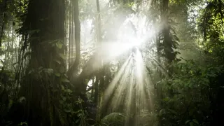 Zázračná planéta: Zelená planéta (1/5)