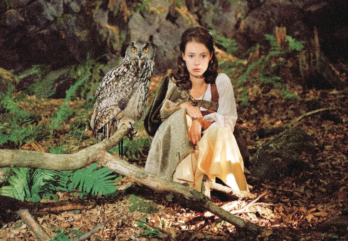 Královny kouzelného lesa, 1998 - fotogaléria