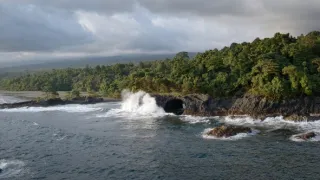 Stratení králi z Bioka