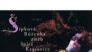 Šípková Růženka aneb Spící krasavice