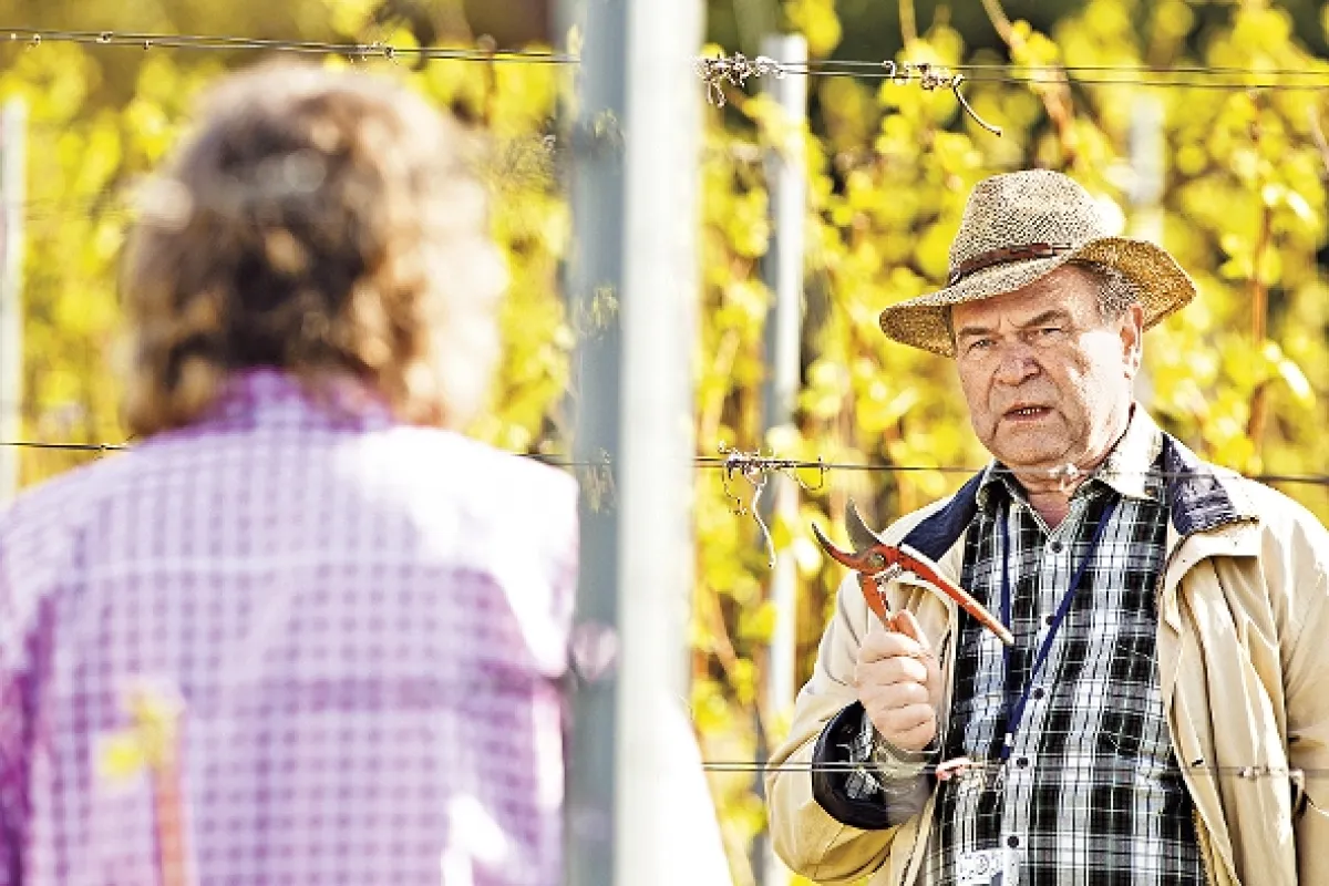 Vinaři, 2015 - fotogaléria