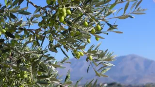 Európsky príbeh (1/6)