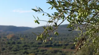 Európsky príbeh (1/6)