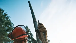 Vzdušní dřevorubci (9)