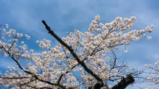 Na cestě po Kanazawě