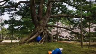 Na cestě po Kanazawě