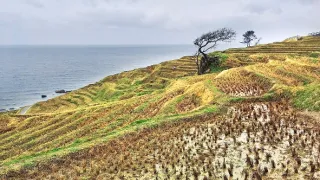 Na cestě po Kanazawě