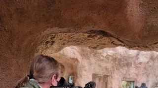 Nový domov pro gorily