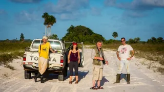 Svět podle termitů