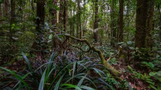 Svět podle termitů