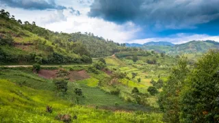 Národní parky Ugandy