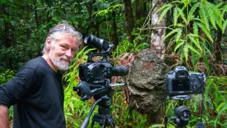 Svět podle termitů