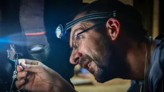 Svět podle termitů