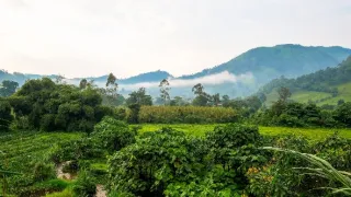 Národní parky Ugandy