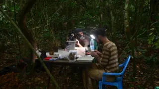 Svět podle termitů