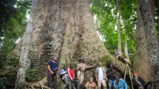 Svět podle termitů