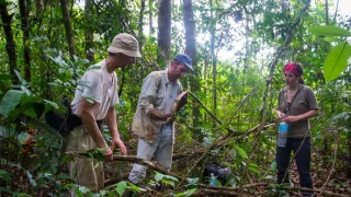 Svět podle termitů