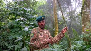 Národní parky Ugandy