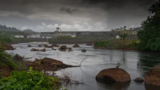 Svět podle termitů