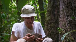 Svět podle termitů