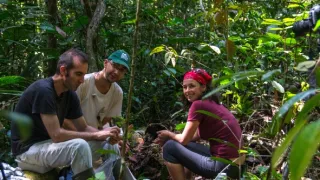 Svět podle termitů