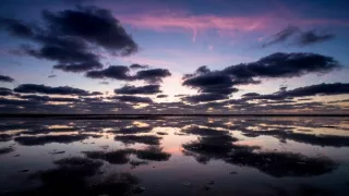 Waddenské moře: Život na hraně