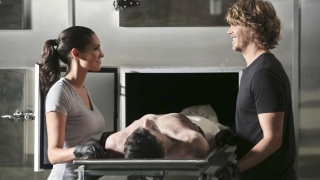 NCIS: Los Angeles VI (1)