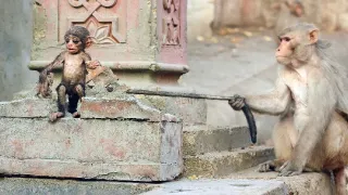 Zázračná planéta: Špionáž v divočine (4/4)