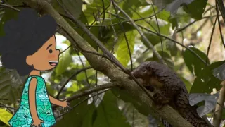 Velká kniha o zvířátkách