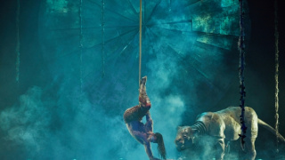 Cirque du Soleil: Luzia