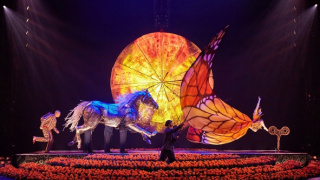 Cirque du Soleil: Luzia